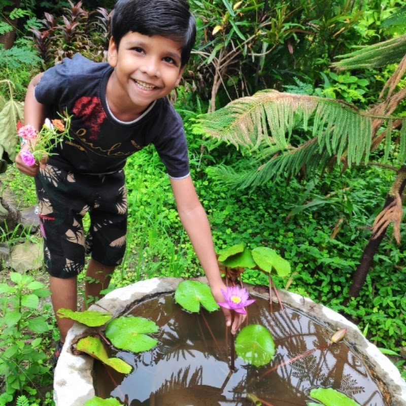 Online Garden