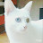 @콘치즈-p8l
