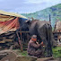4D54H6xMB0I-channel-avatar-Real life Nepal 
