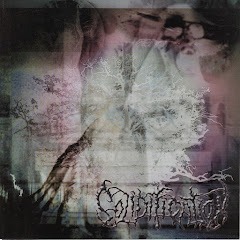 Solidification