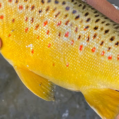 Hooked in Utah