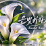 XmLO4fPmFhU-channel-avatar-은빛카라