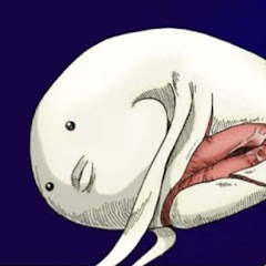 グルメ食材アイコン画像
