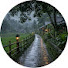 Ki4YXcVWqGY-channel-avatar-Rain Walks