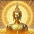 hcmDm6c6irU-channel-avatar-ဗုဒ္ဓတရားတော်များ - မြန်မာ