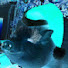 9w3_3dSfYgw-channel-avatar-Pineapplepigz
