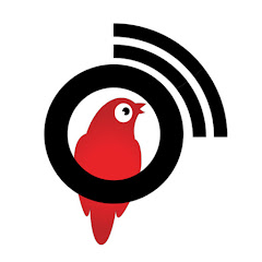 Channel thumbnail for Jago News