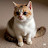 @ZzzzMeow_01