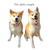The Akita Couple
