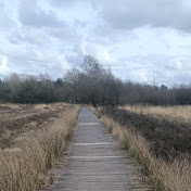  Uk Views