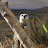 @RandomAndUseful's avatar