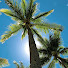 C0dSfVVAI0U-channel-avatar-KJ Island Vibes, Sizzle & Scenery