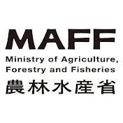 maffchannel