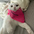 @오늘도박봉길