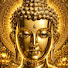 inpFGN95Ays-channel-avatar-Dhamma Dana
