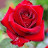 @ommaram6122