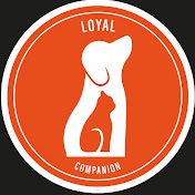 Loyal Companion