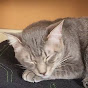 ぺットの幸せ探求