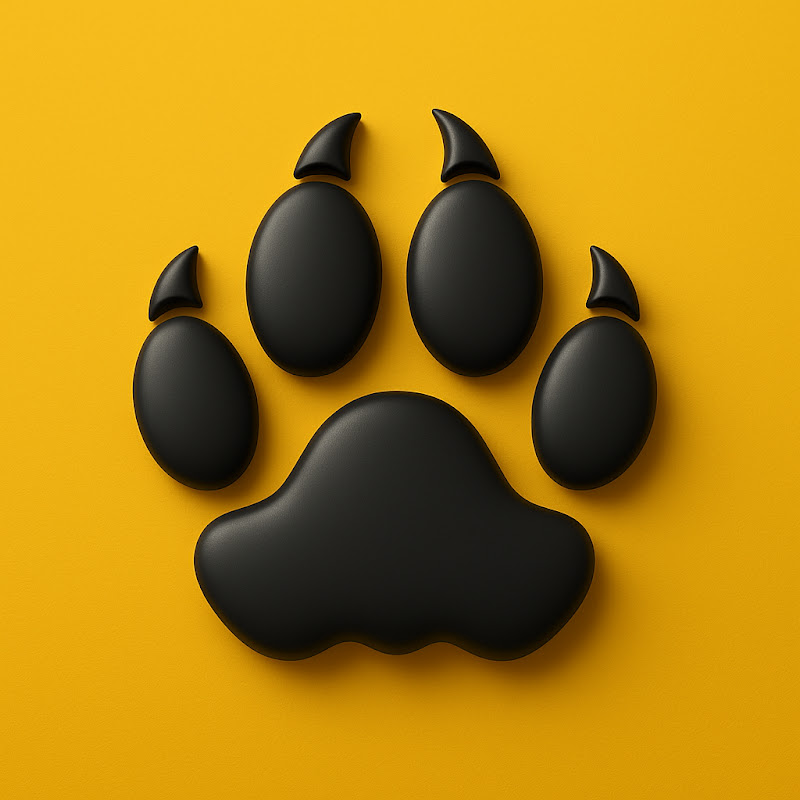 MrPaw