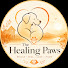 lwPWMVmFqqM-channel-avatar-The Healing Paws