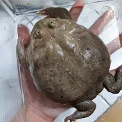 ちびあっちゃん