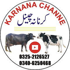 Karnana channel Avatar
