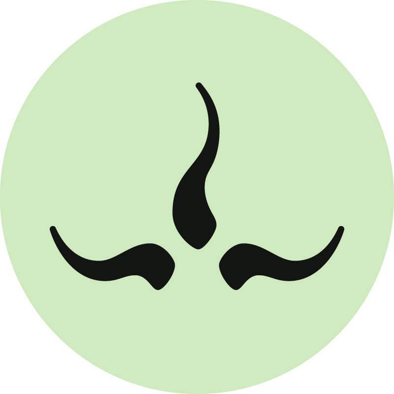 prAna