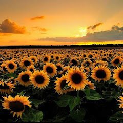 #スカッとする話 # 33