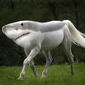 Tropical Shark Horse