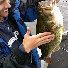 the Shimmy Bass
