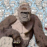 El_w5tsMLFM-channel-avatar-TDogg7280