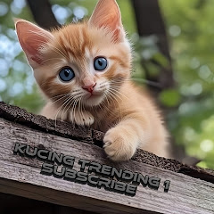 Kucing Trending 1