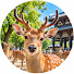 F8WeCY8VVIE-channel-avatar-    Explore Nara Park