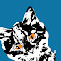 lo-0IR7E4Y4-channel-avatar-Jolon Dann