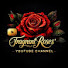 rqRMf4d7X_U-channel-avatar-FragrantRoses