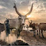 T2E27QdgrnE-channel-avatar-THE NUER