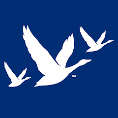 Grey Goose Vodka