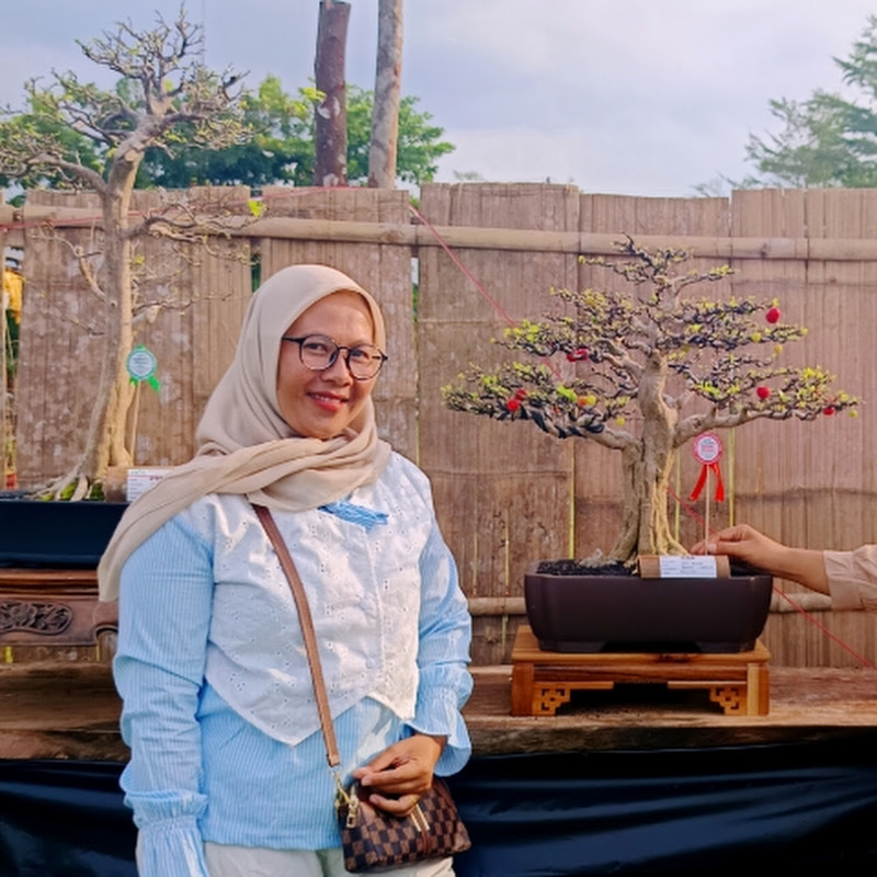 Nabila Bonsai