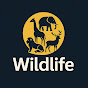 Wild Life logo