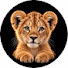 J4BOgTaiFzI-channel-avatar-Wild Beak 