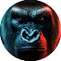 i2eq0bbOp8k-channel-avatar-Beast Fighter