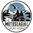 uZhEzWBbIH0-channel-avatar-MotoSeagull  Viaggi in moto