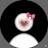 @M_Tk.8