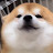 @February是二月呀's avatar