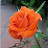 @포근한둥지-p3j