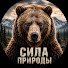 Evug1j6O0CI-channel-avatar-Сила Природы