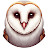 Barn Owl Live