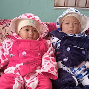 babytwins