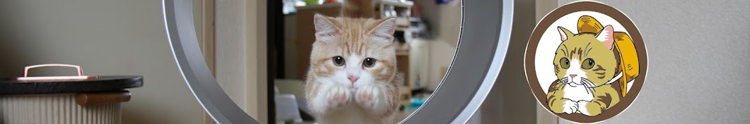 çŒ«æŠ˜ã‚Œ ãƒžãƒ³ãƒã‚«ãƒ³/Munchkin (cat) Avatar de canal de YouTube
