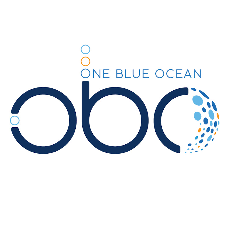 One Blue Ocean